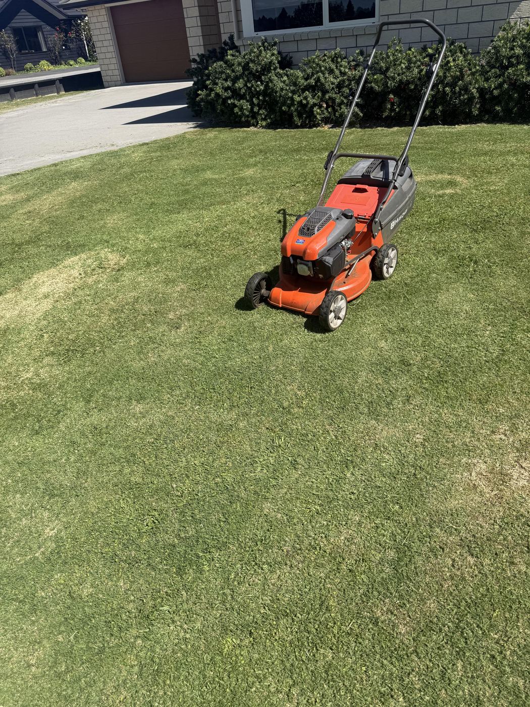 Fenced backyard freshly mowed by JR Lawn Mowing