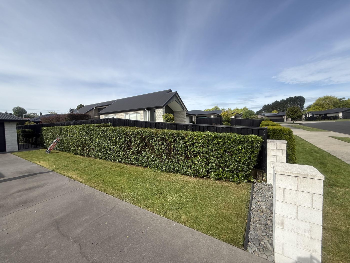 Neatly trimmed hedge along a driveway by JR Lawn Mowing in Te Awamutu